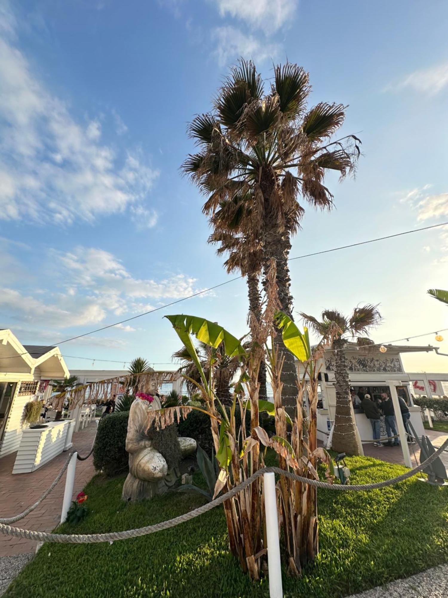 Apartment Penthouse Salus Sea View Terrace Lido di Ostia